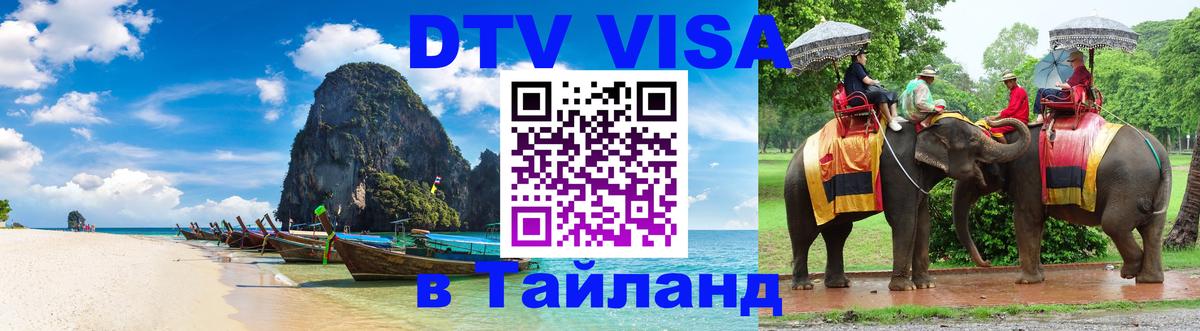 Оформление DTV визы под ключ: стоимость и тарифы, только загранпаспорт - Москва  03.10.2025 